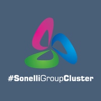 Sonelli Group Cluster