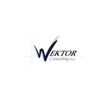 Wektor Consulting s. c.