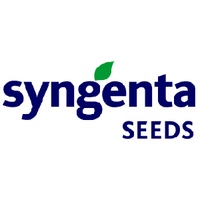 Syngenta Seeds