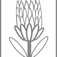 Protea AntiAging Sp. z o.o.