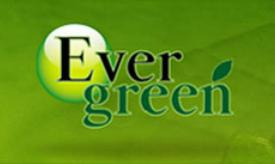 Ever Green