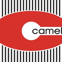 Fabryka Wkładów Odzieżowych Camela SA