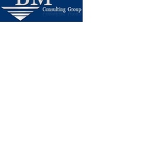 BM Consulting Group