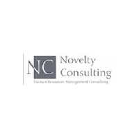 Novelty Consulting