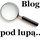 Blog pod lupą.