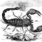 Skorpiony (zodiak)
