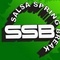 Salsa Spring Break 5.7.03.2010 4 edycja