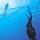 Freediving