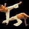 Capoeira