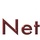 NETVISION