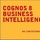 Cognos Business Intelligence and Performance Management Software Solutions