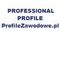 PROFESSIONAL PROFILES  profesjonalne profile zawodowe