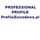 PROFESSIONAL PROFILES  profesjonalne profile zawodowe