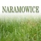 Naramowice