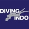 Diving Indo