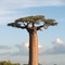 BaobabGroup