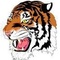 BNI Tigers