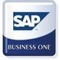 System ERP SAP Business One