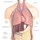 Anatomia człowieka